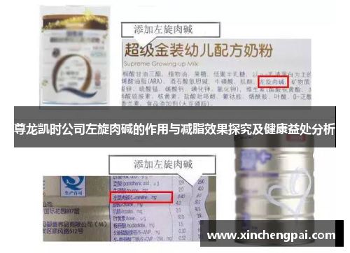 尊龙凯时公司左旋肉碱的作用与减脂效果探究及健康益处分析